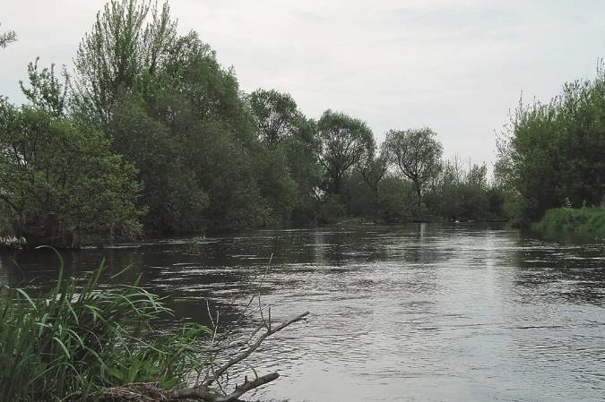 Zdjęcie 4