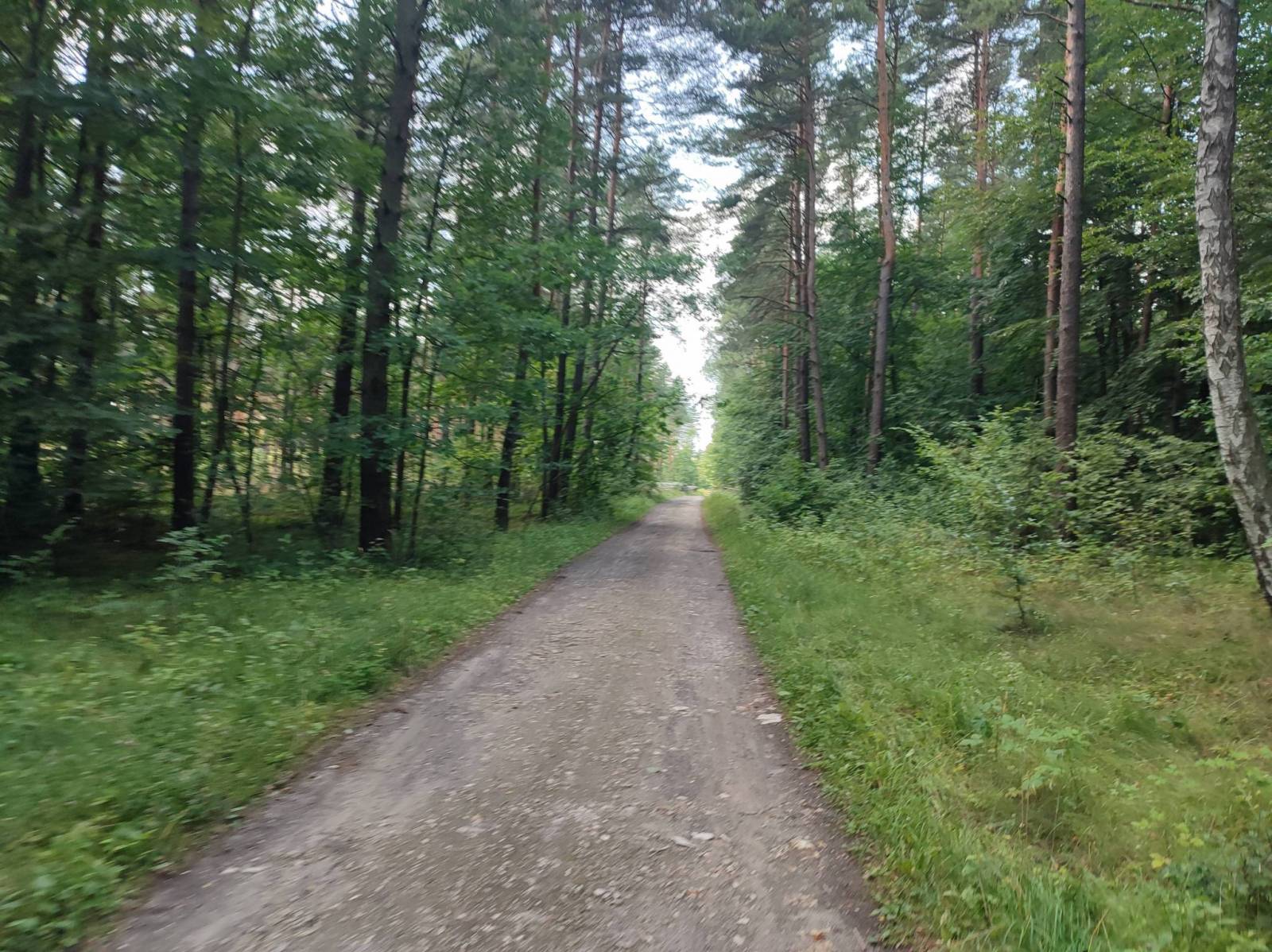 Zdjęcie 6