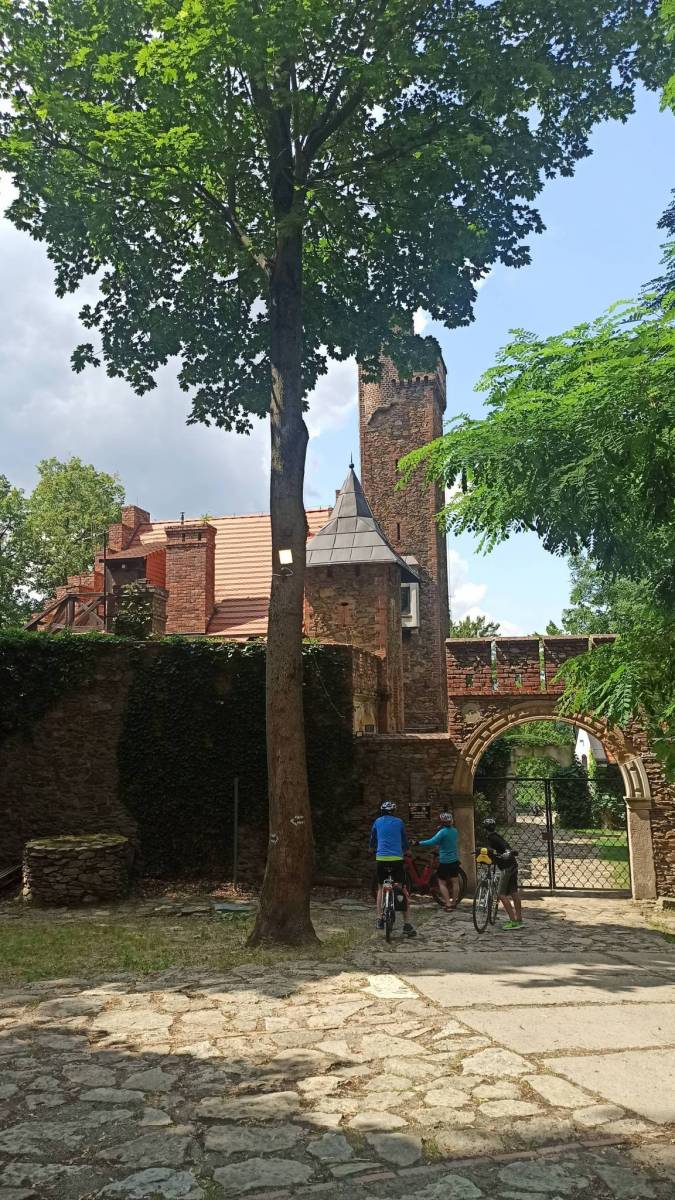 Zdjęcie 5