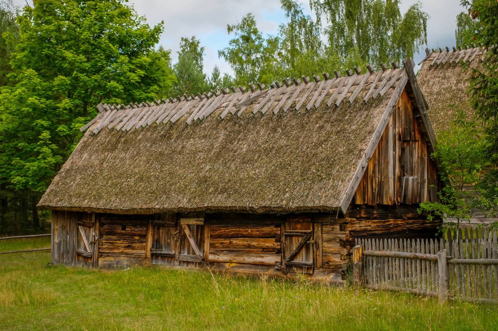 Zdjęcie 6