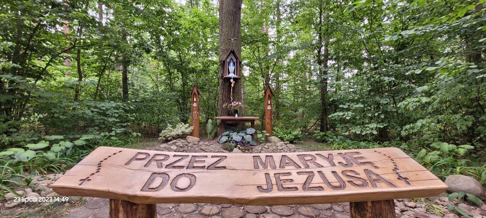 Zdjęcie 3