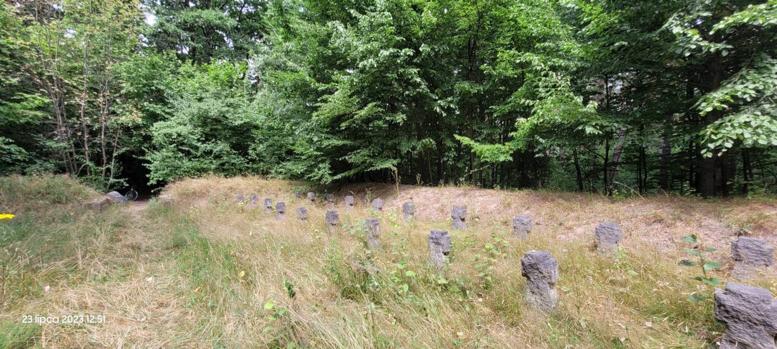Zdjęcie 5