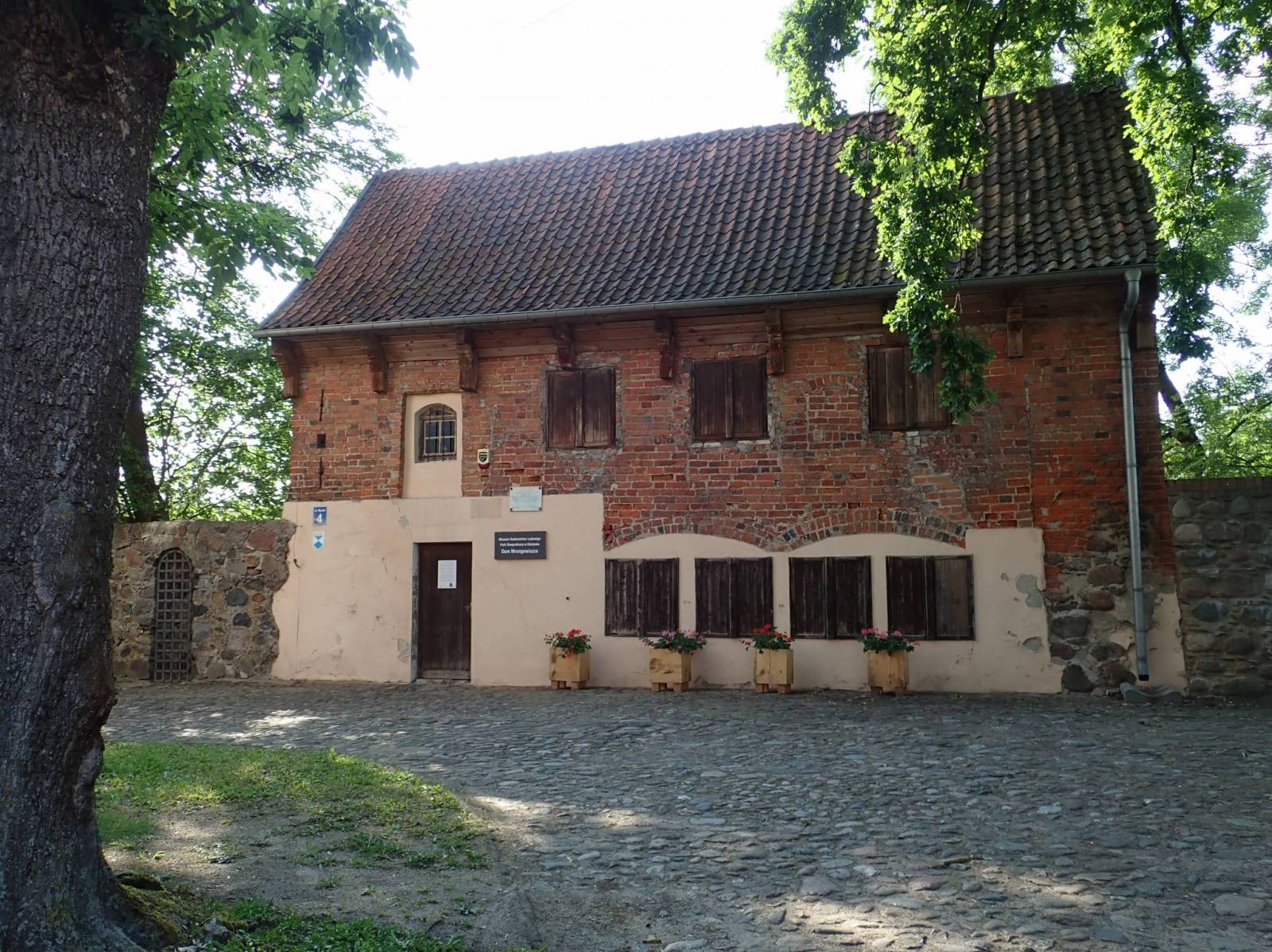 Zdjęcie 4