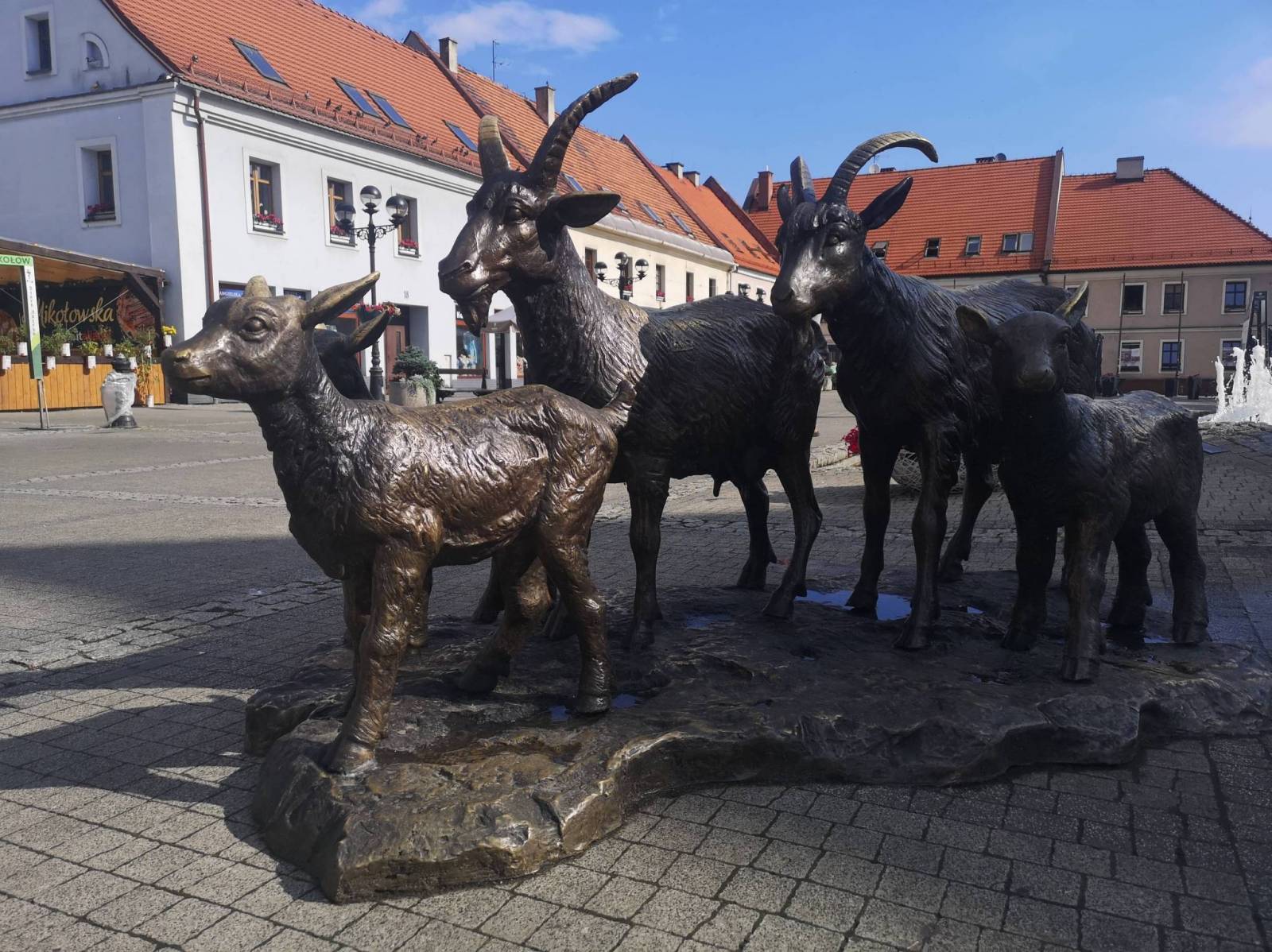 Zdjęcie 6