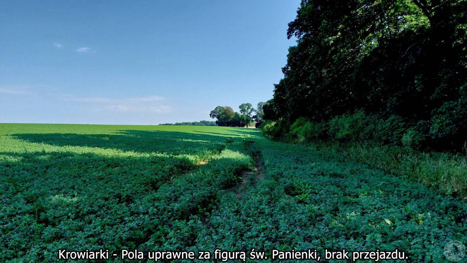 Zdjęcie 2