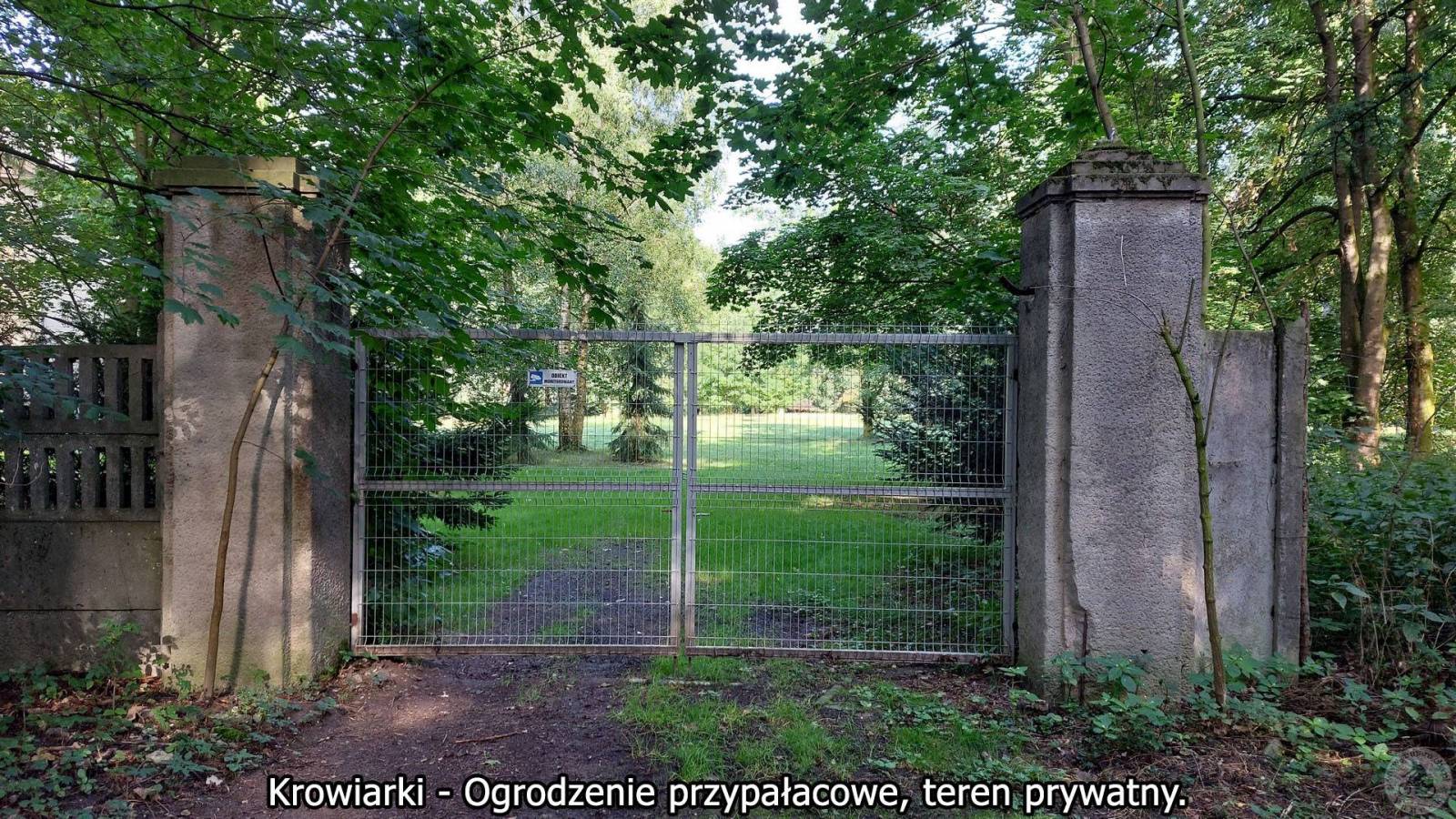 Zdjęcie 3
