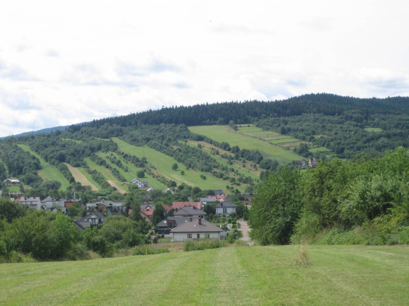 Zdjęcie 2