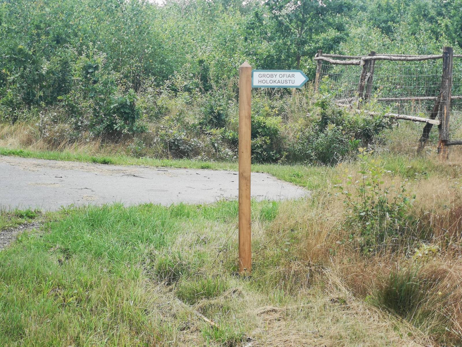 Zdjęcie 5