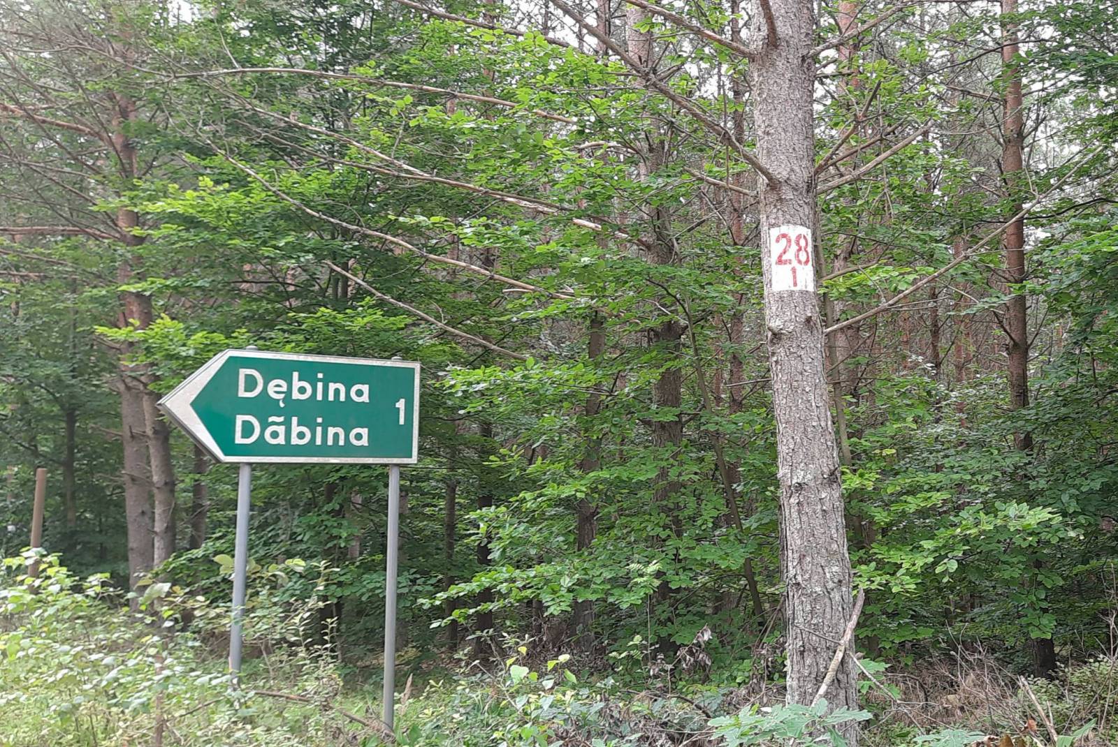 Zdjęcie 3