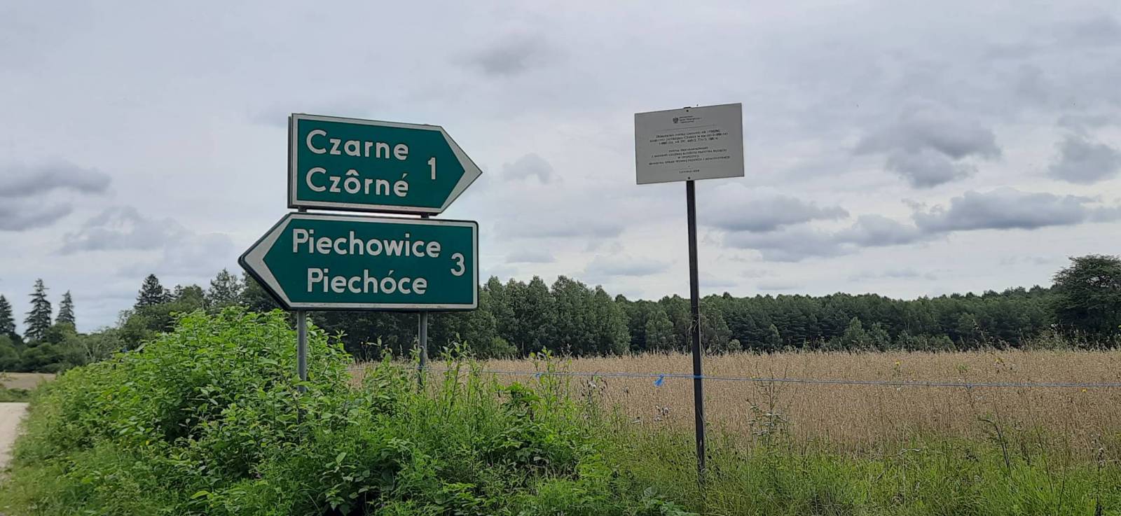 Zdjęcie 5
