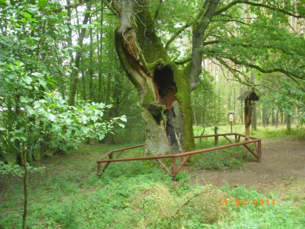 Zdjęcie 2