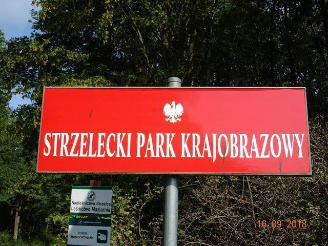 Zdjęcie 3