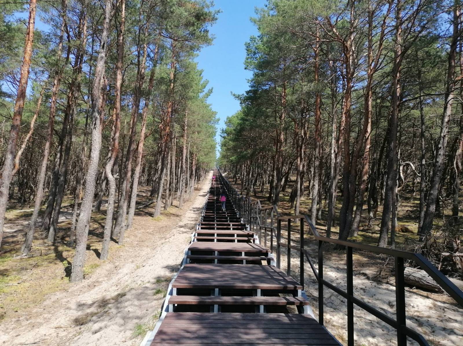 Zdjęcie 3