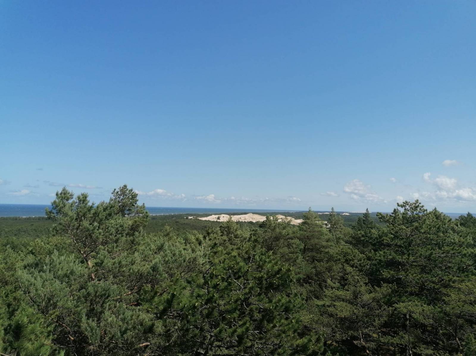 Zdjęcie 5