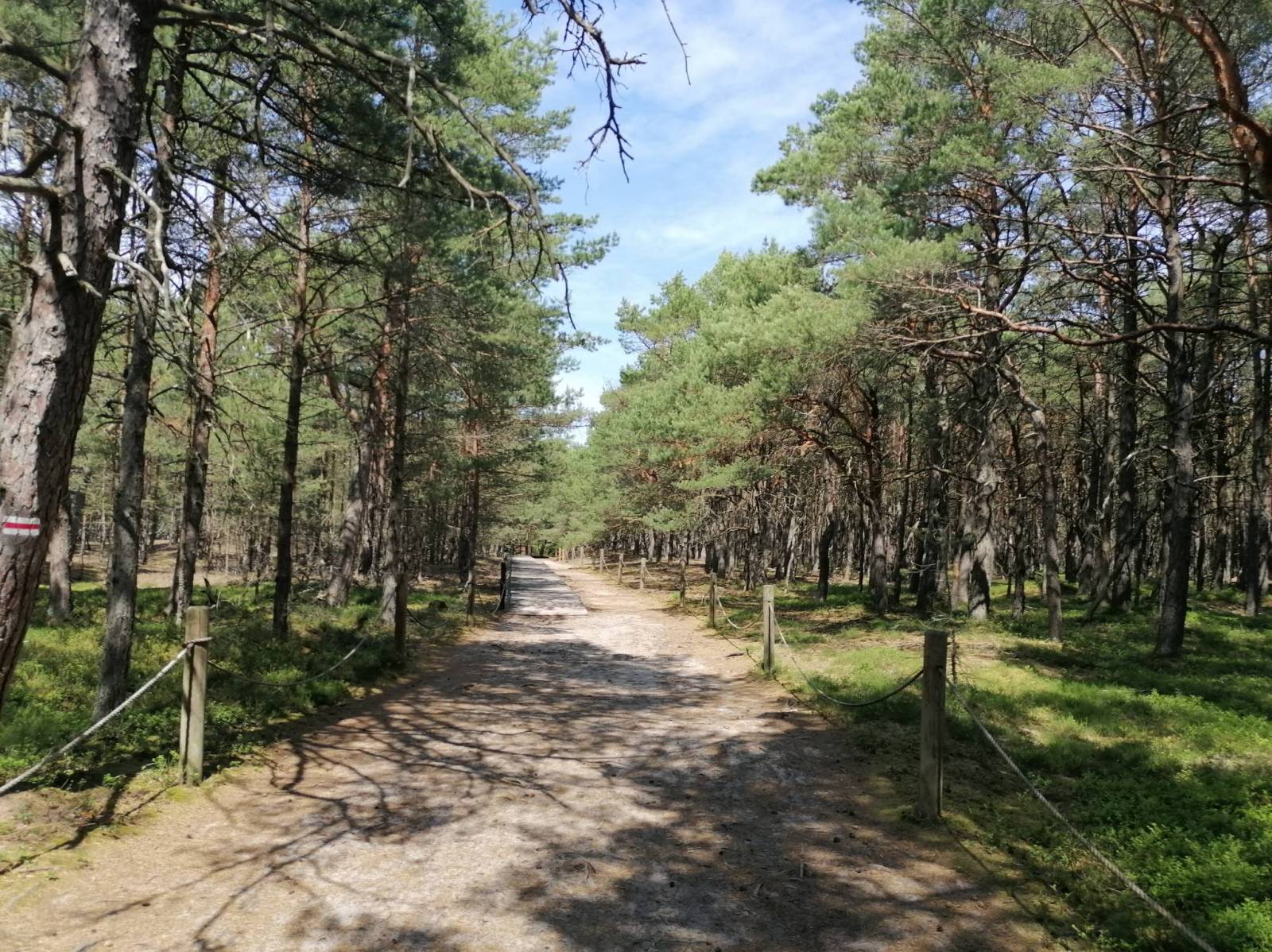 Zdjęcie 6