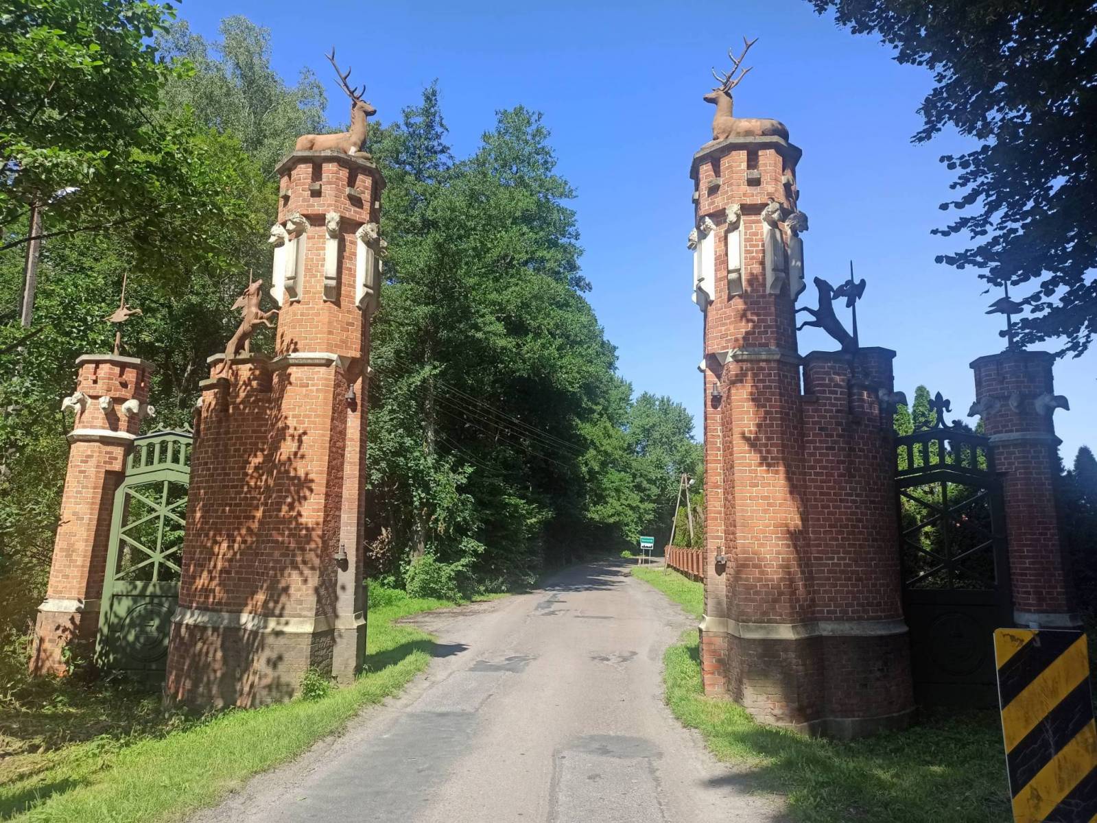 Zdjęcie 6
