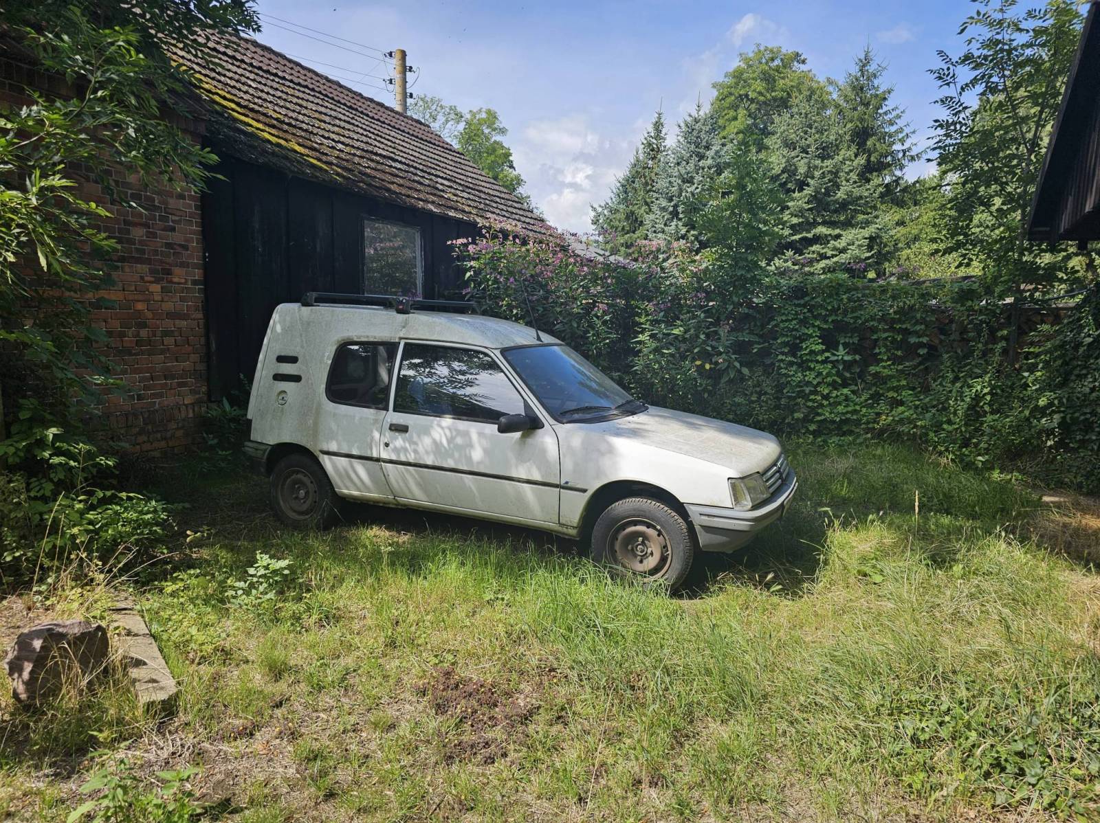 Zdjęcie 5
