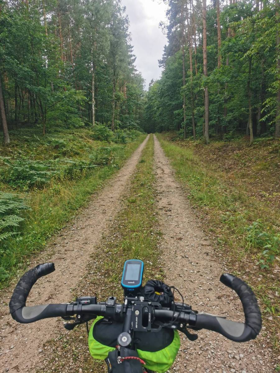 Zdjęcie 6