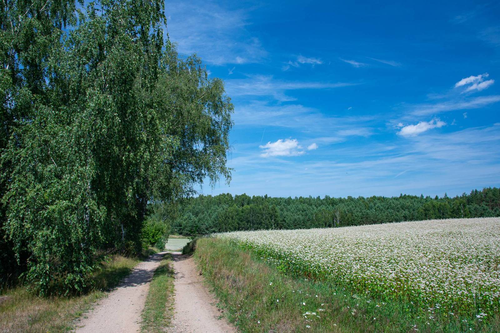 Zdjęcie 4