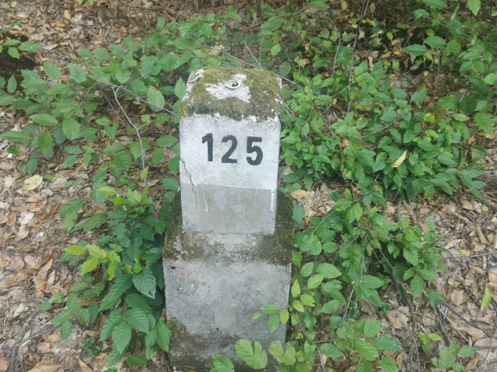 Zdjęcie 5