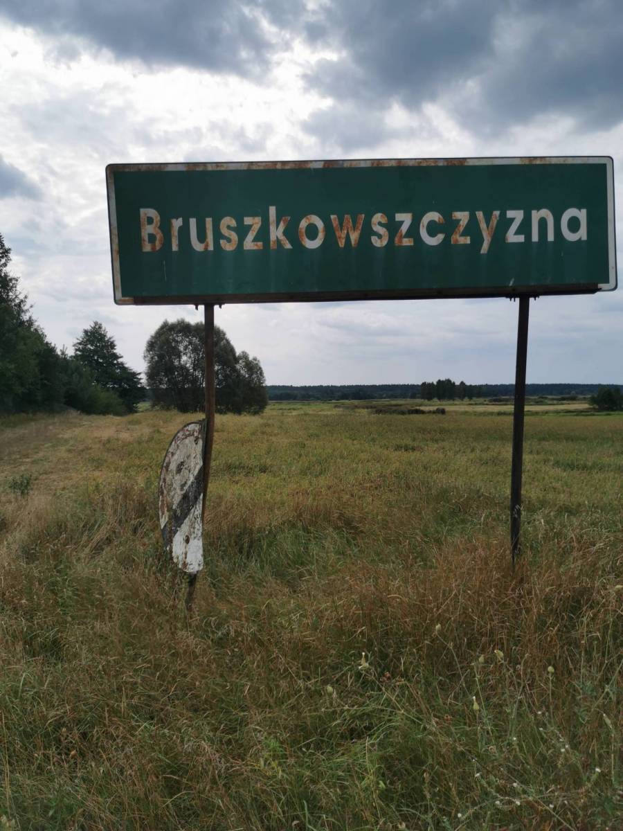 Zdjęcie 5