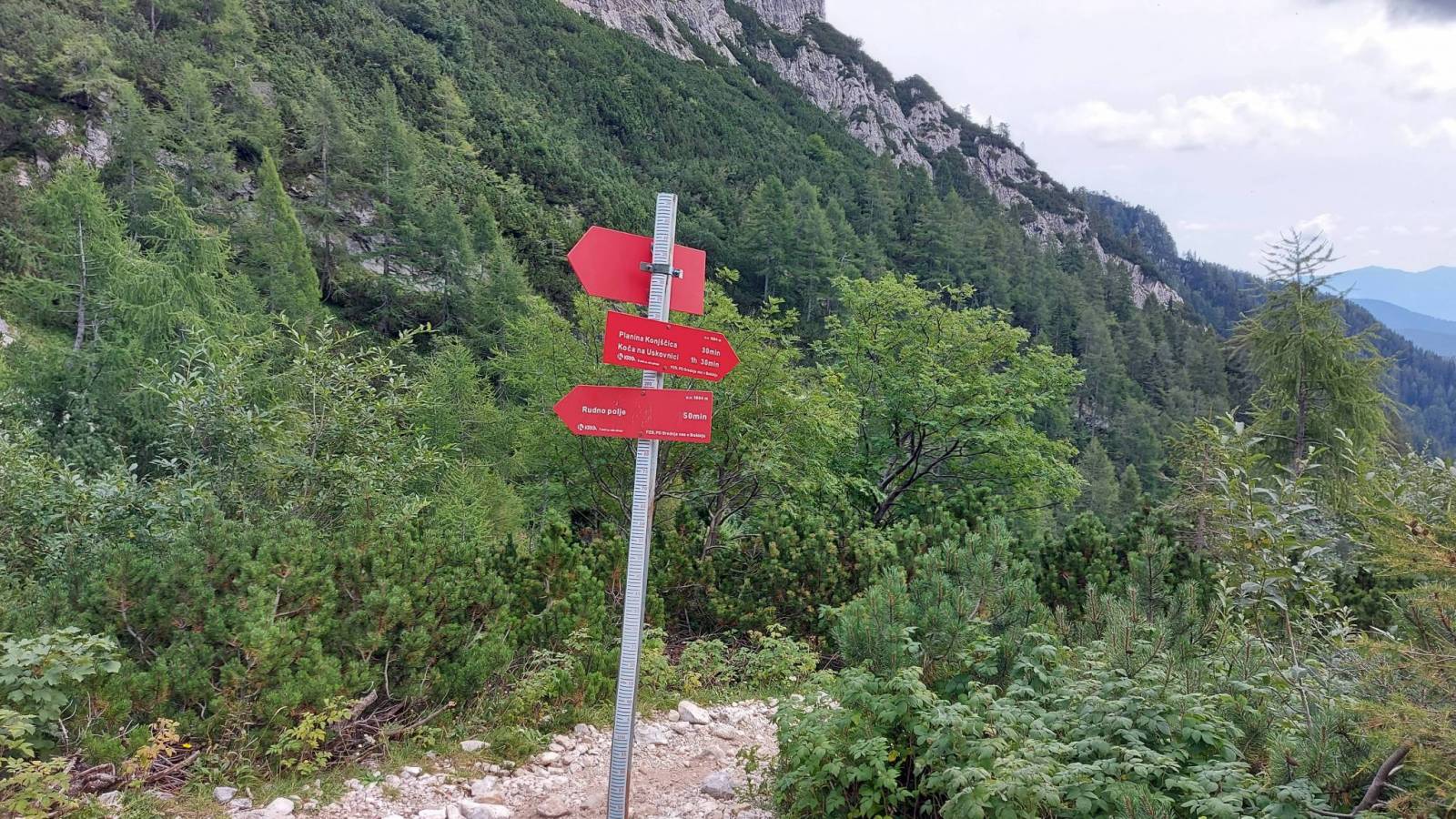 Zdjęcie 3
