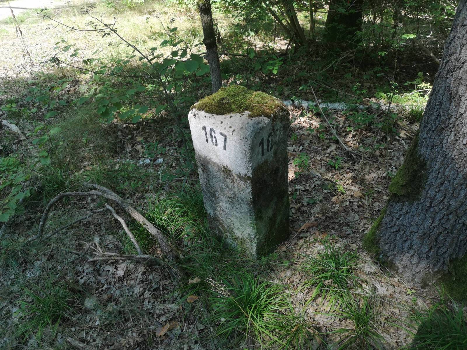Zdjęcie 3