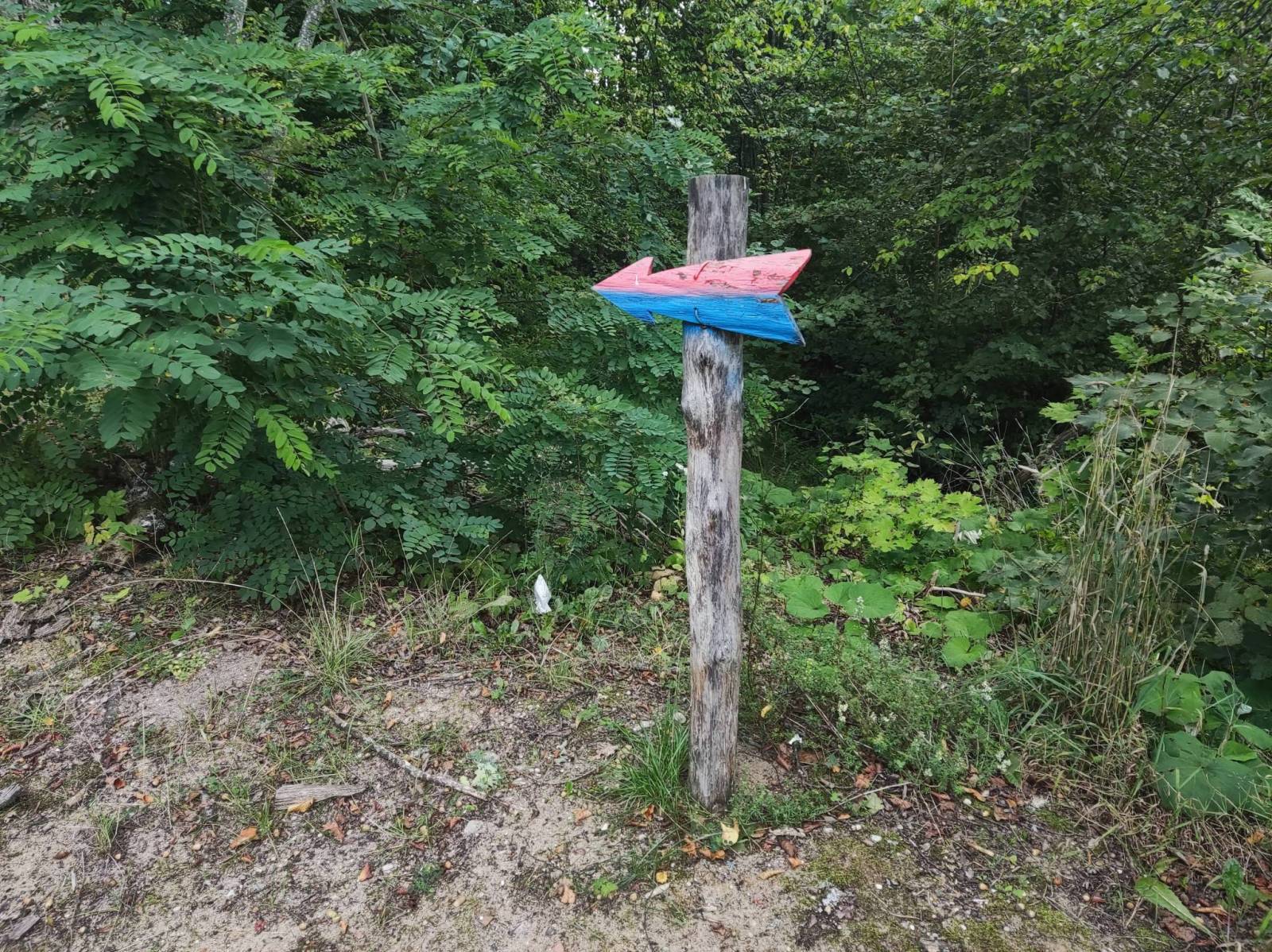 Zdjęcie 3
