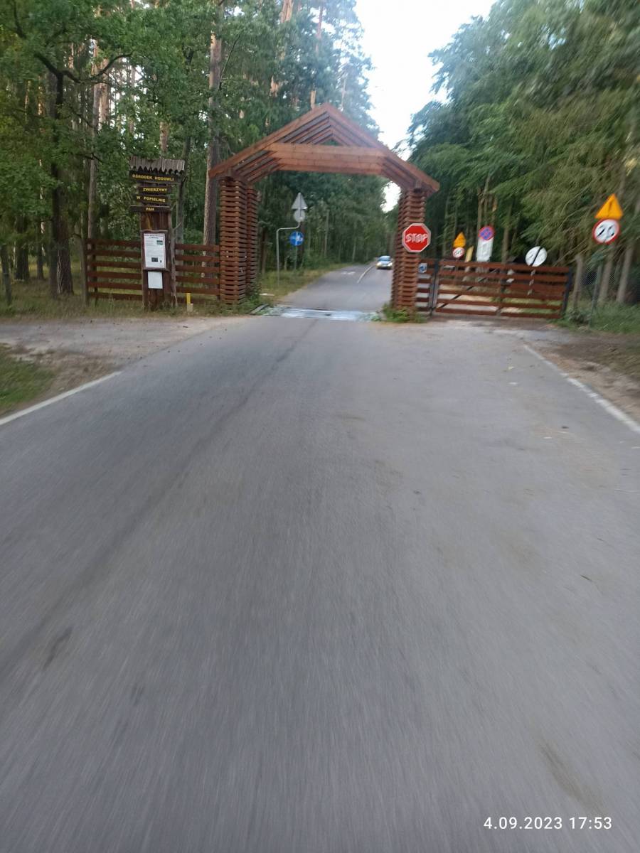 Zdjęcie 5