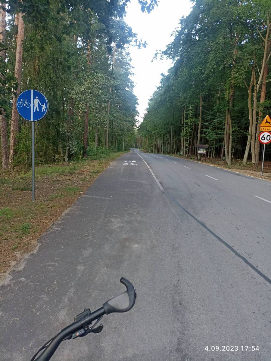 Zdjęcie 6