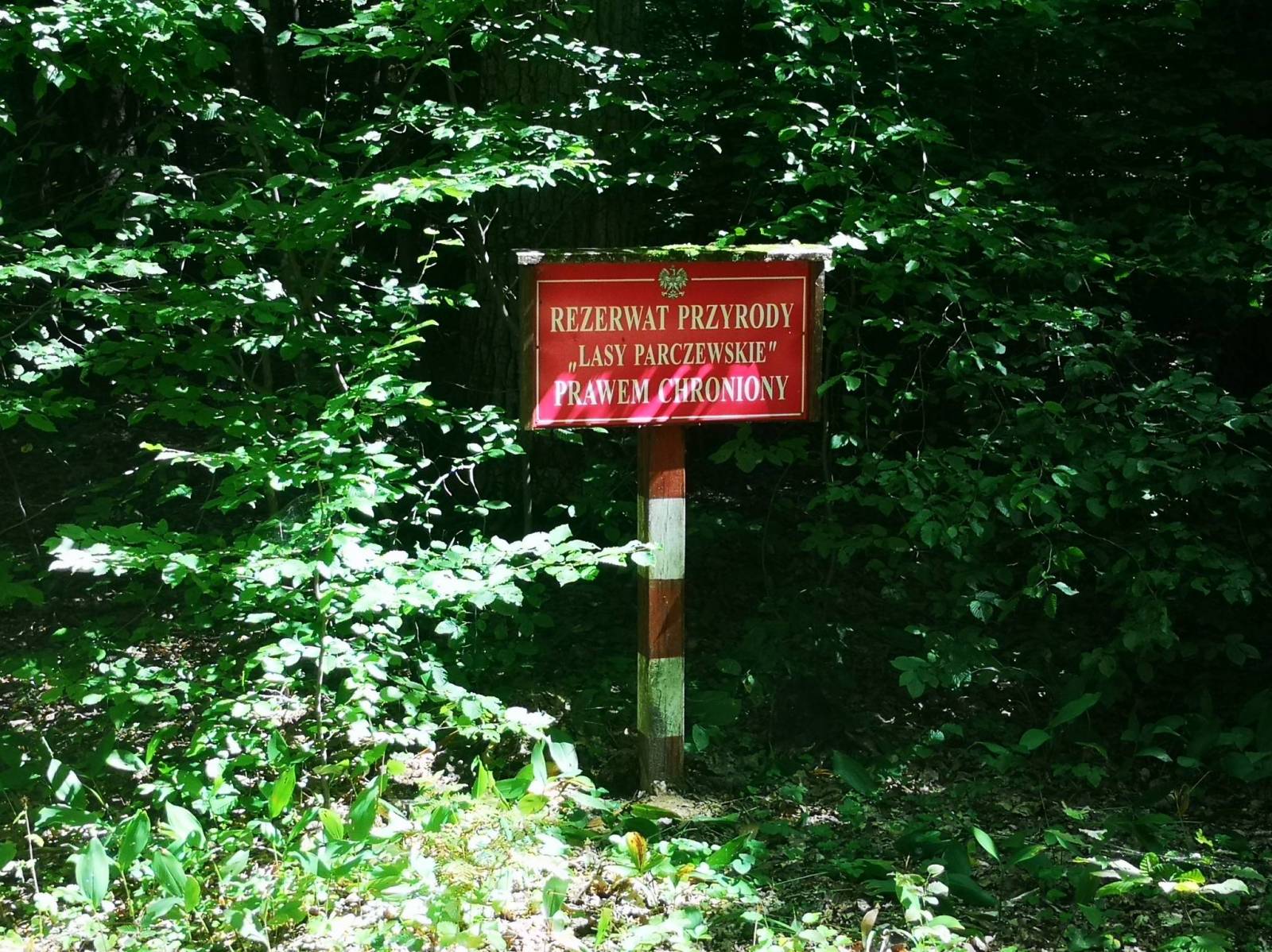 Zdjęcie 4