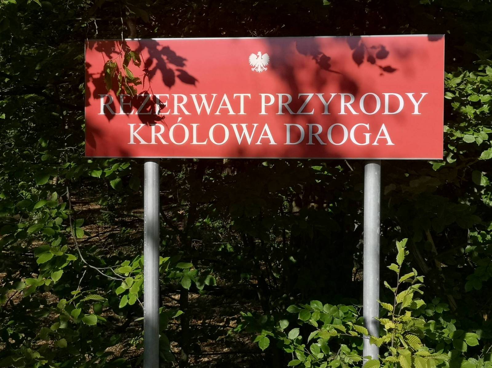 Zdjęcie 2