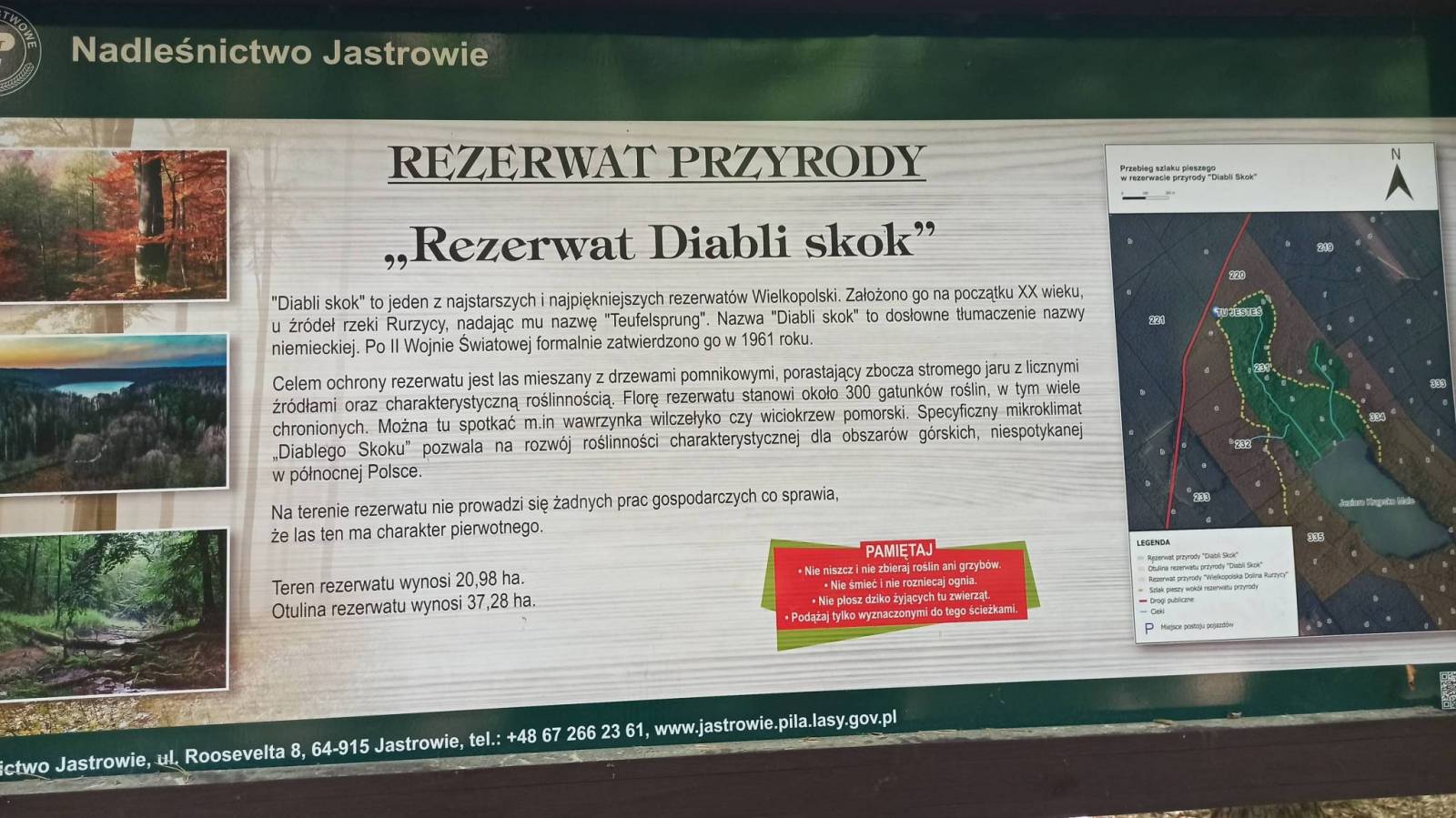 Zdjęcie 3