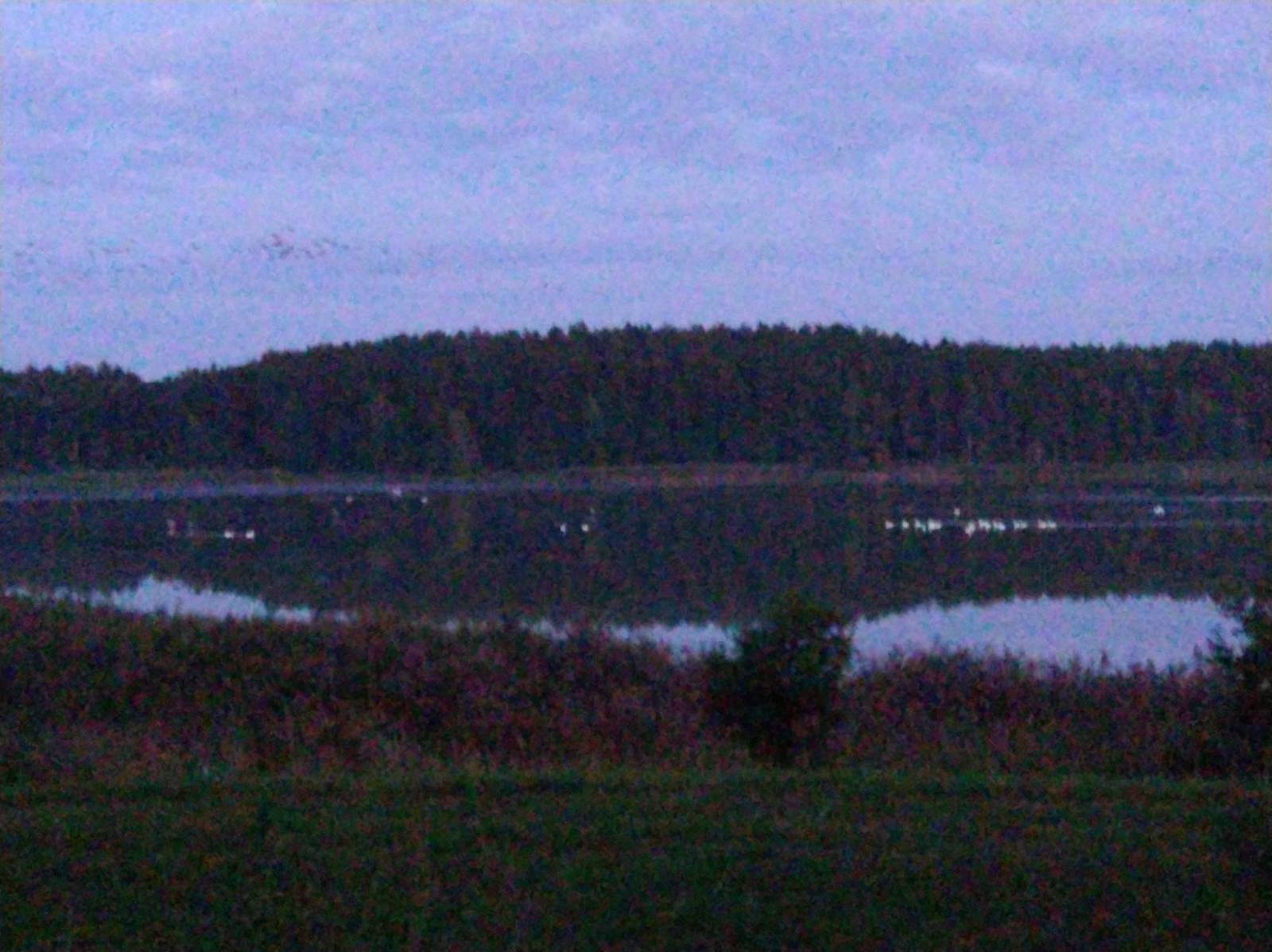 Zdjęcie 6