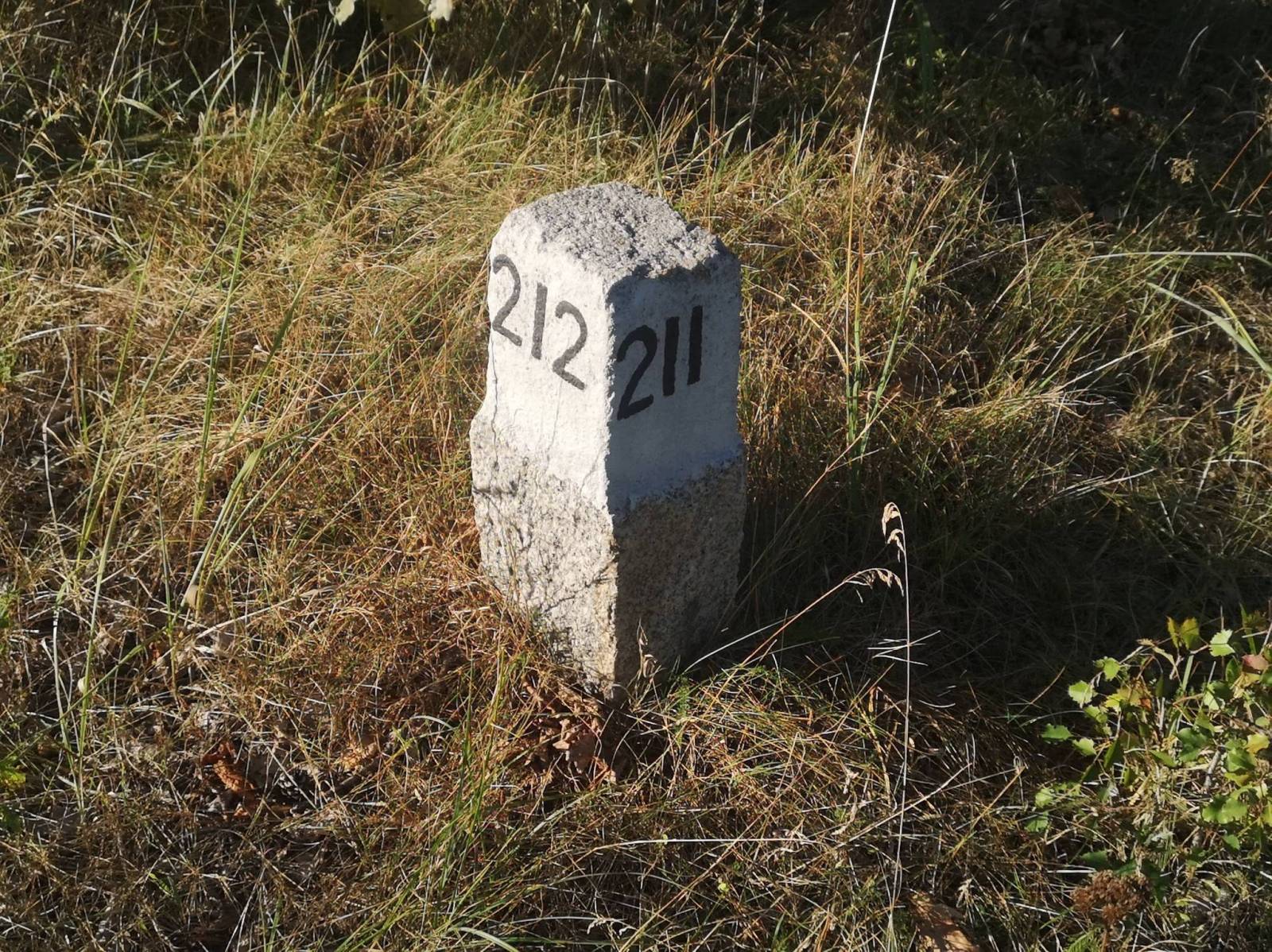 Zdjęcie 4