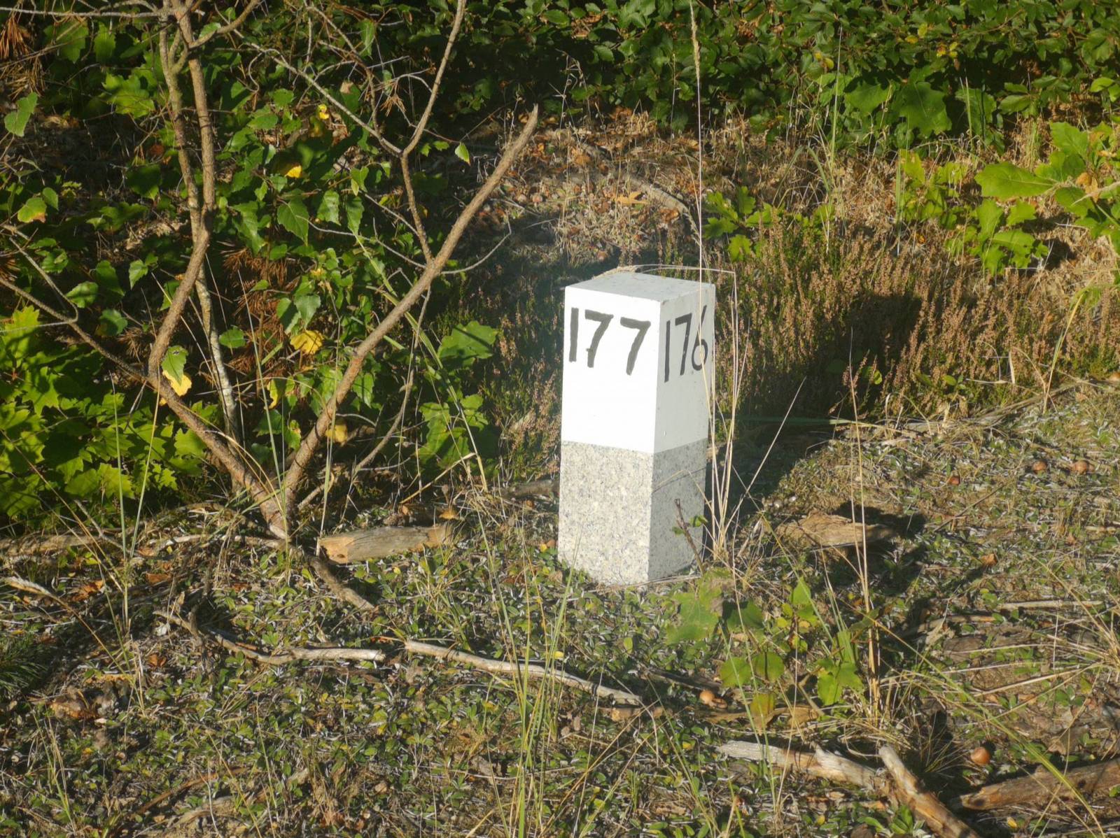 Zdjęcie 5
