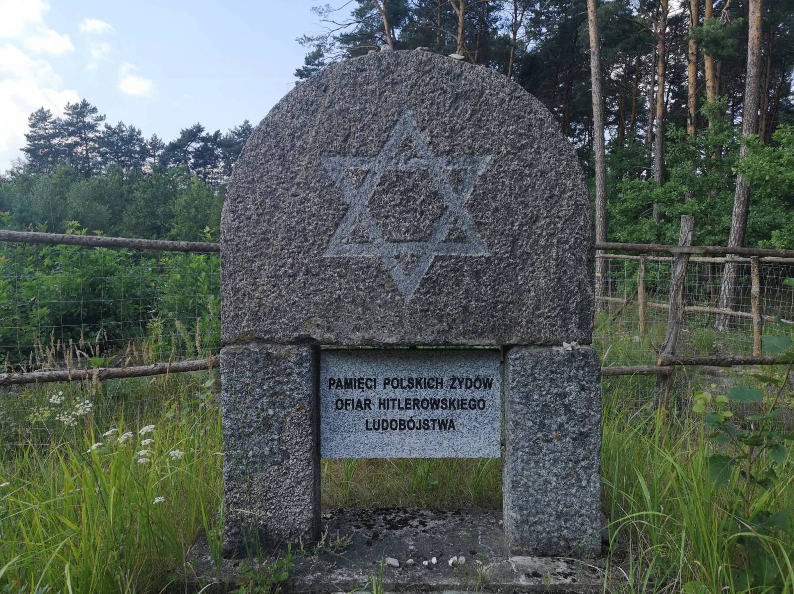 Zdjęcie 6