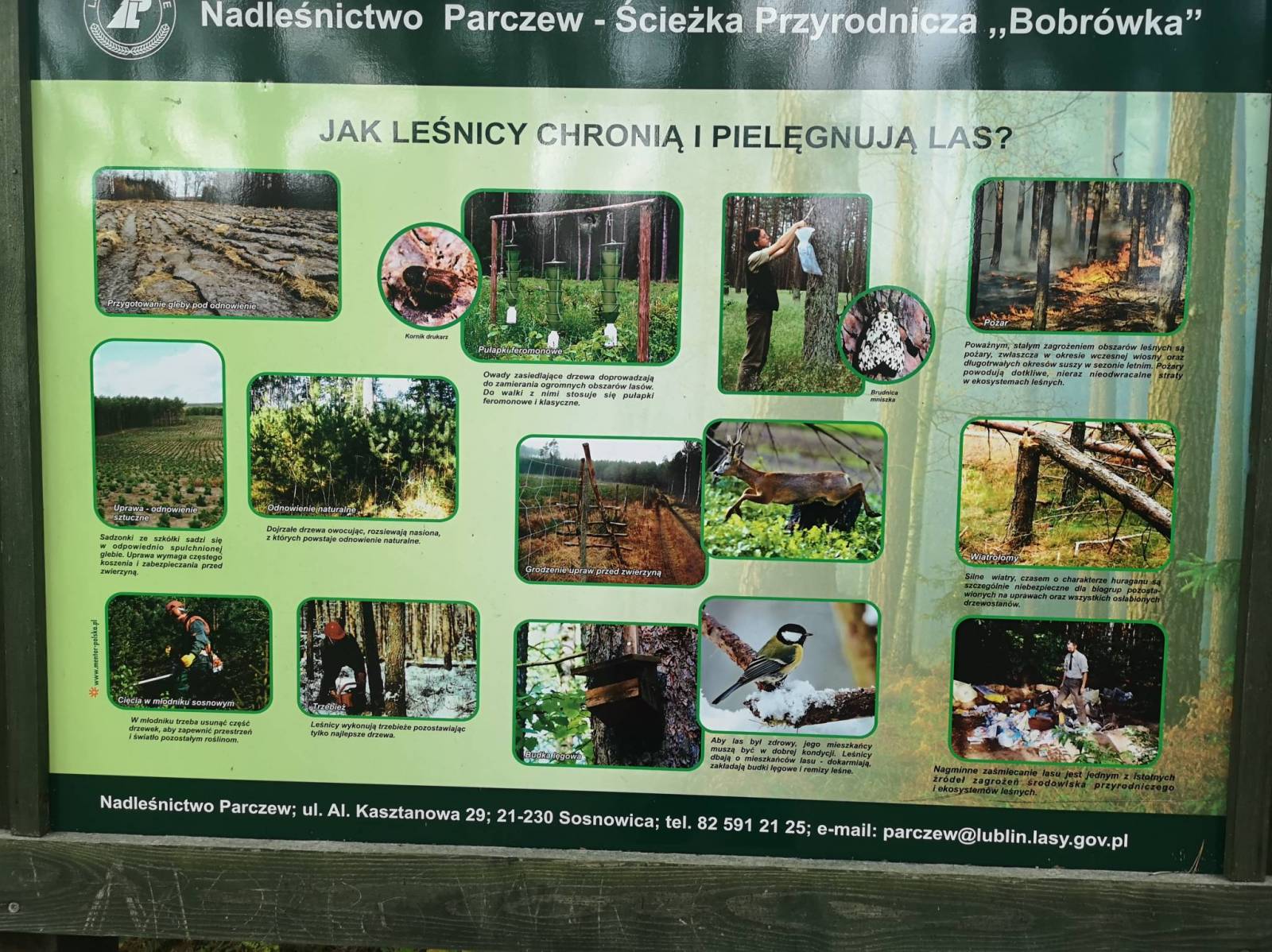 Zdjęcie 2