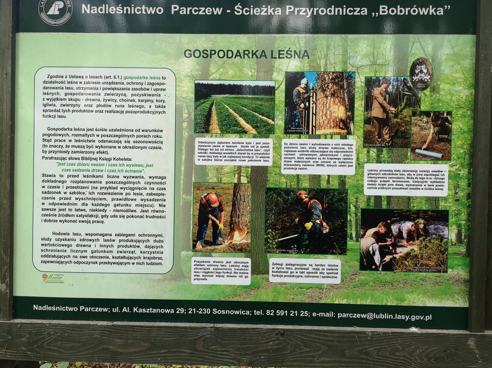 Zdjęcie 3