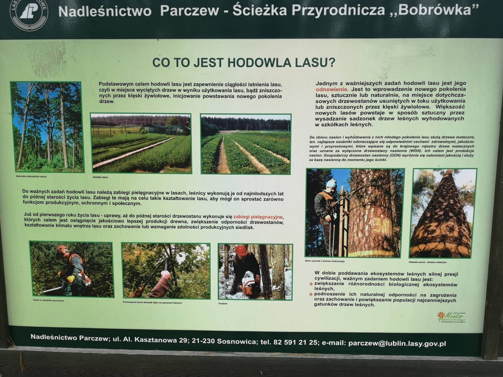 Zdjęcie 4
