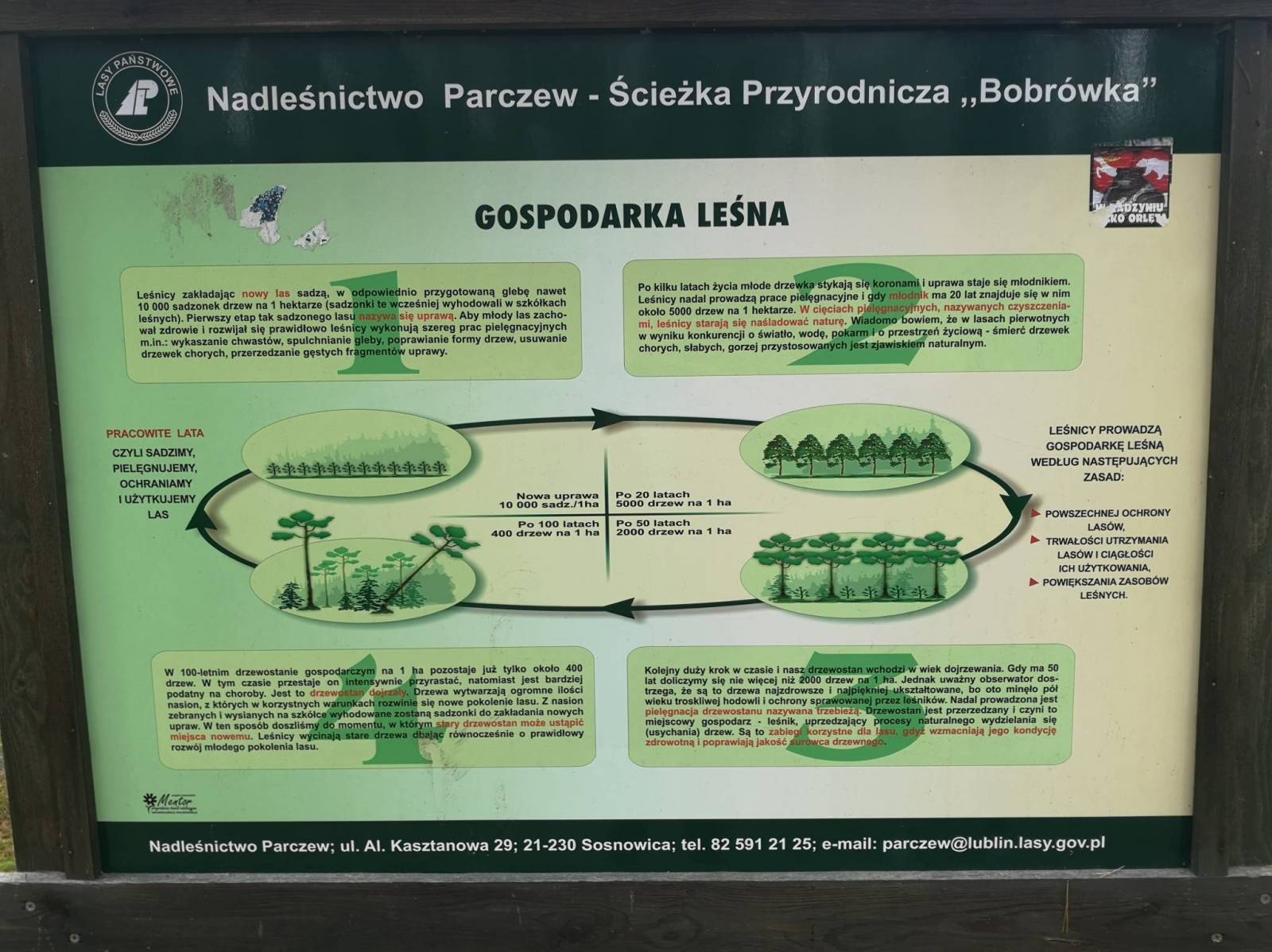 Zdjęcie 5