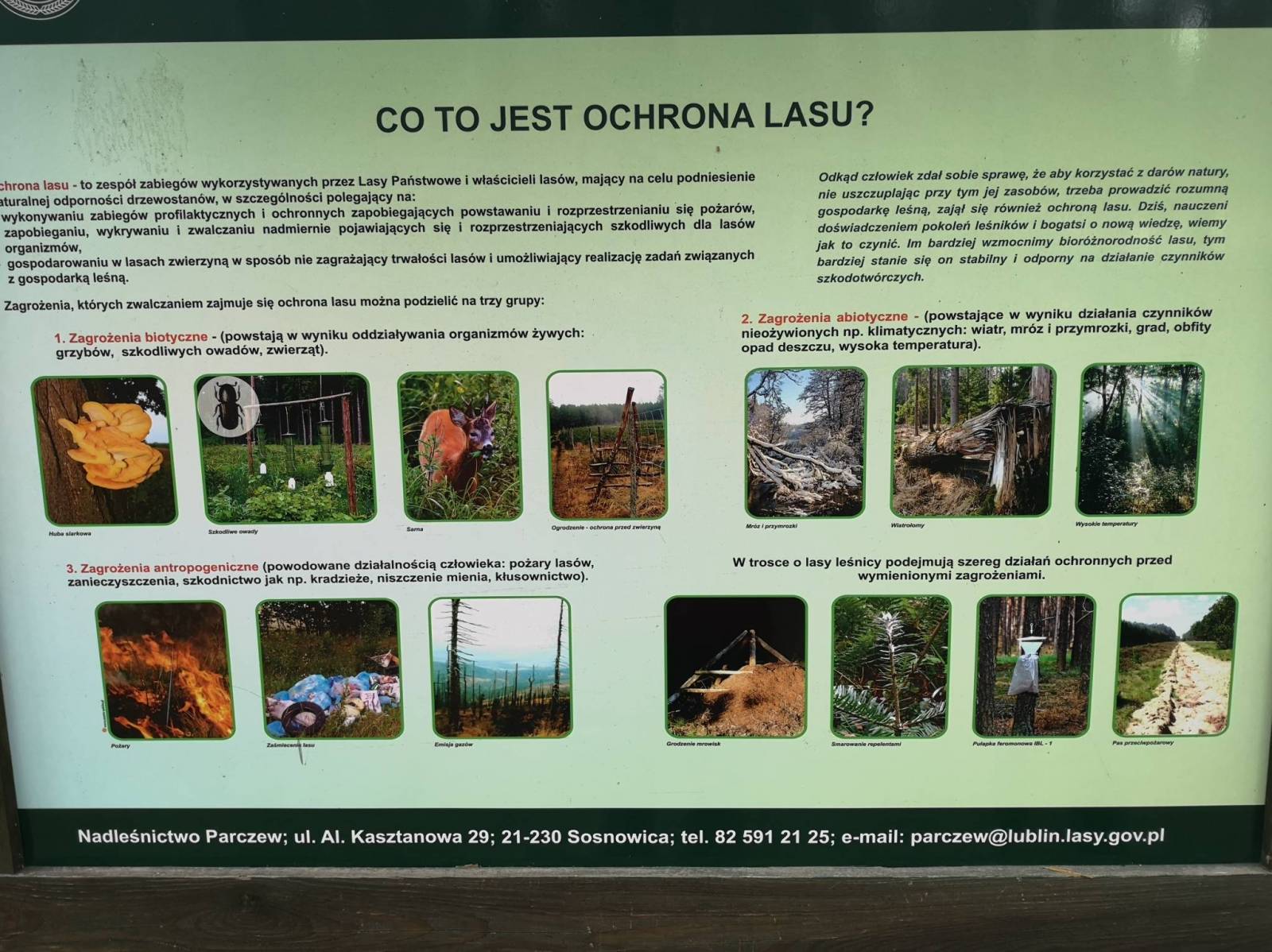 Zdjęcie 6