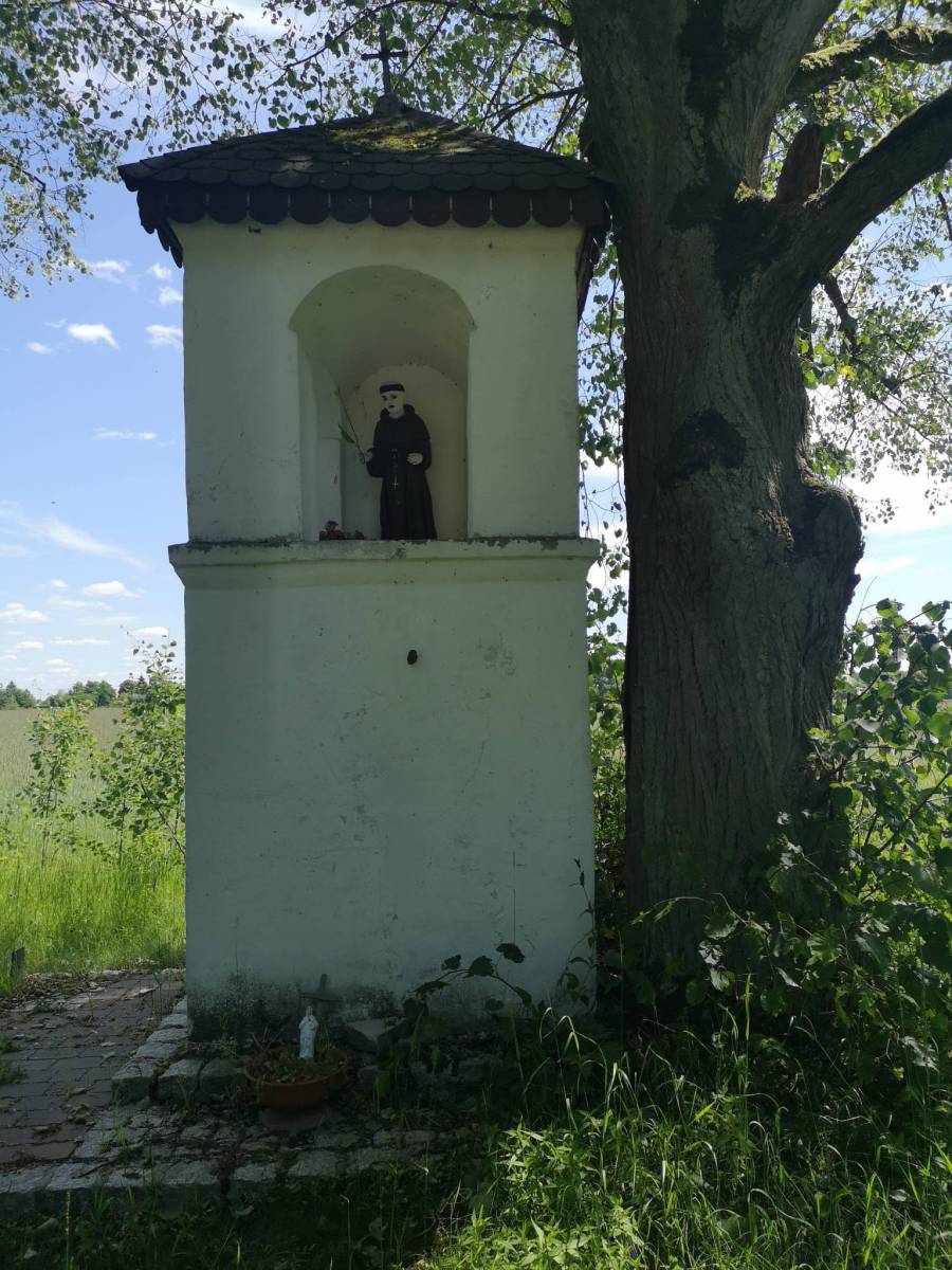 Zdjęcie 5