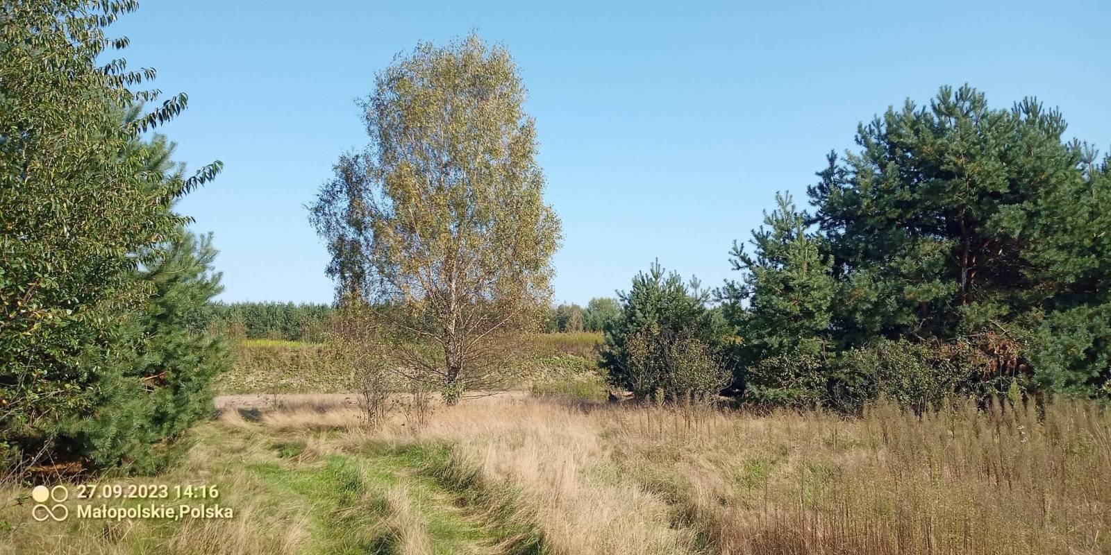 Zdjęcie 3