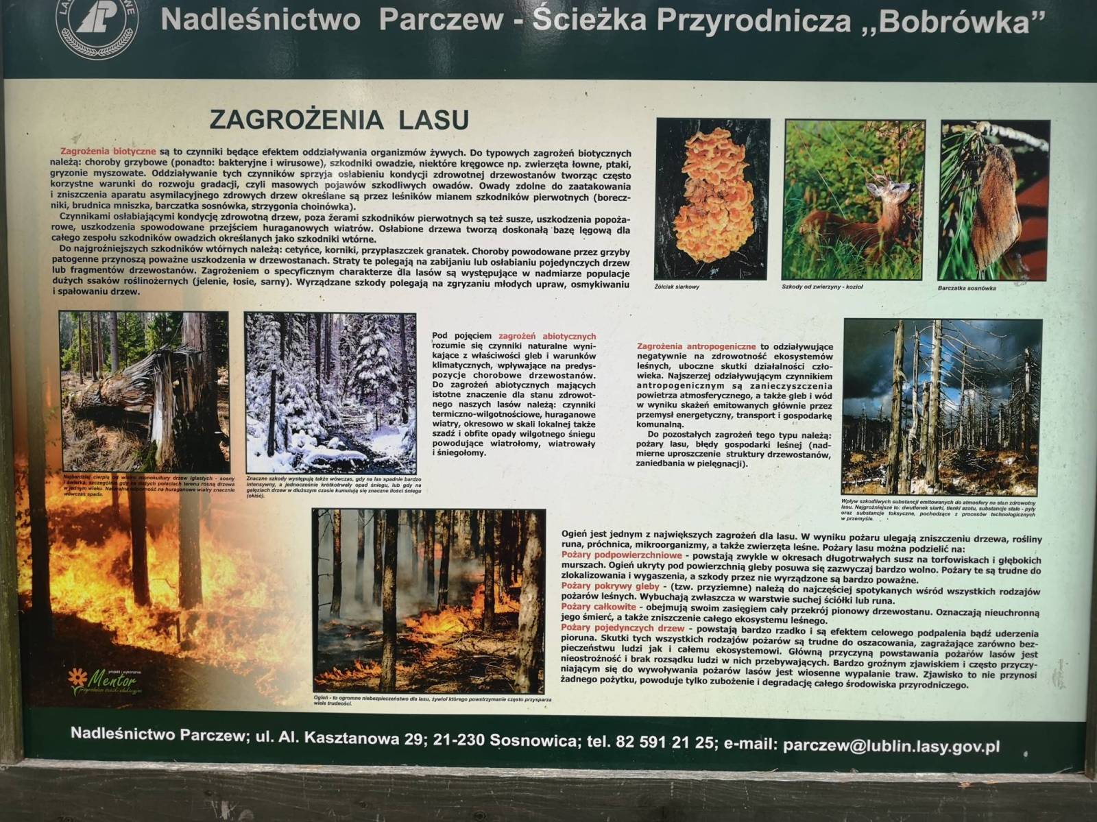 Zdjęcie 2