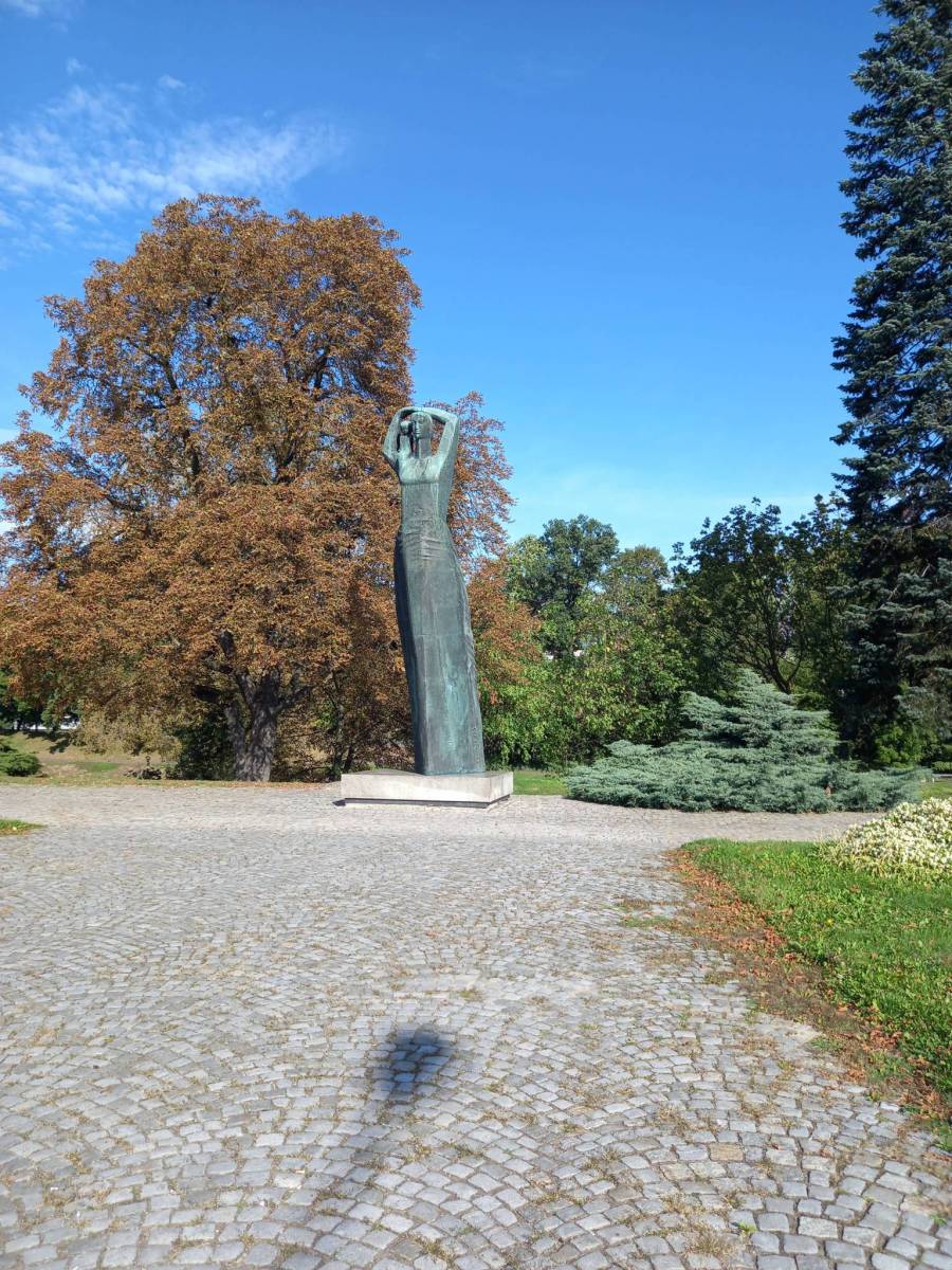 Zdjęcie 4