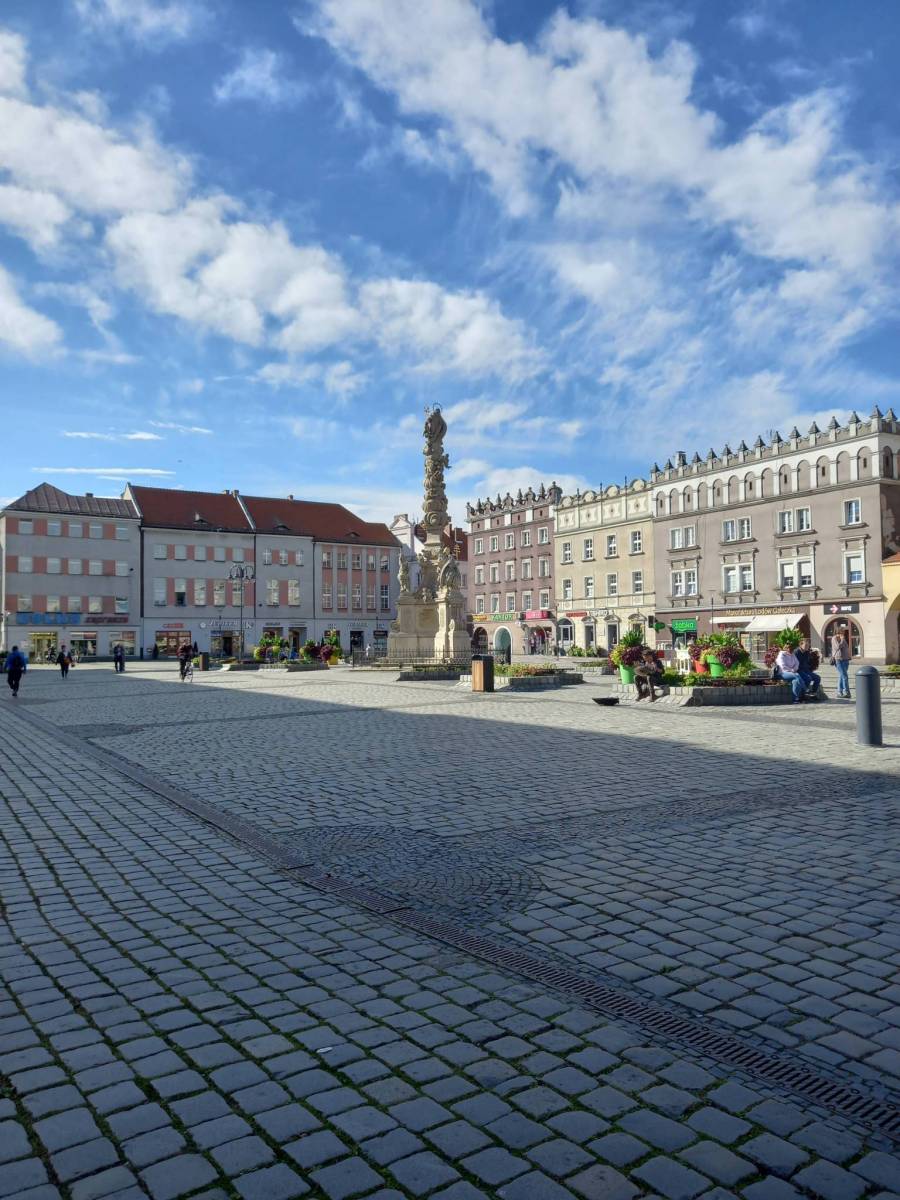 Zdjęcie 6