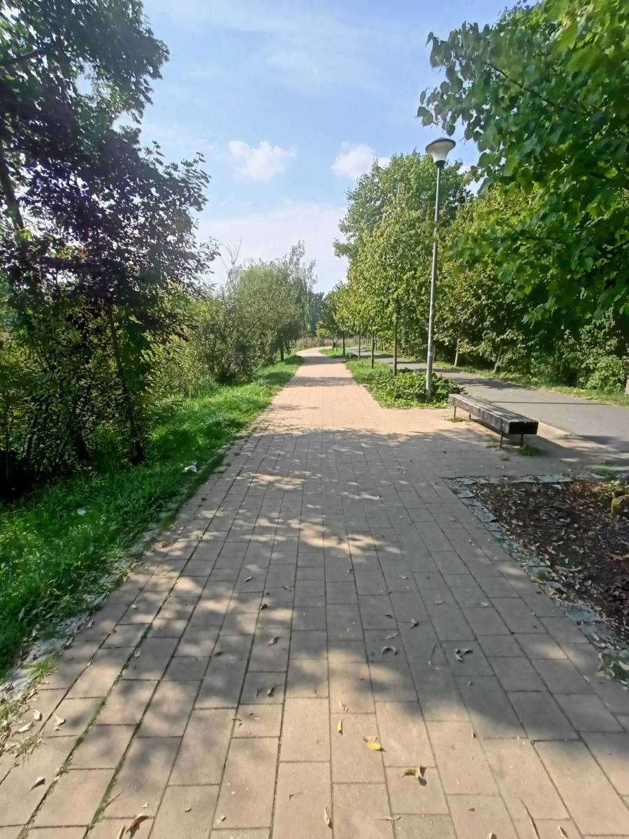 Zdjęcie 6