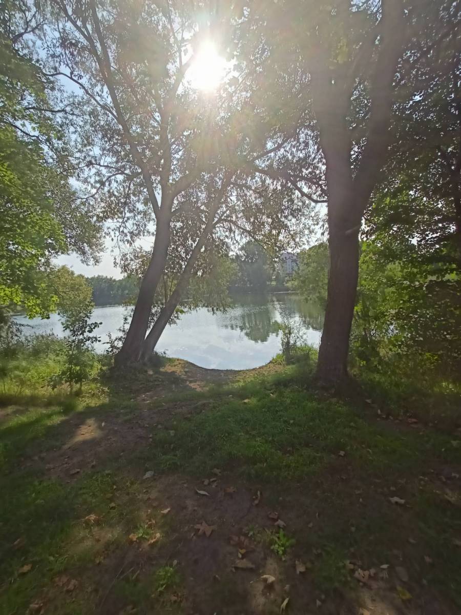 Zdjęcie 6