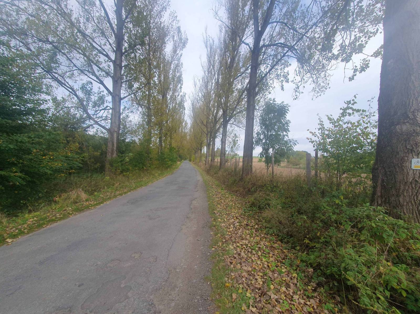 Zdjęcie 6